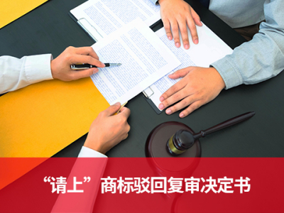 9119095号”请上“商标驳回复审决定书